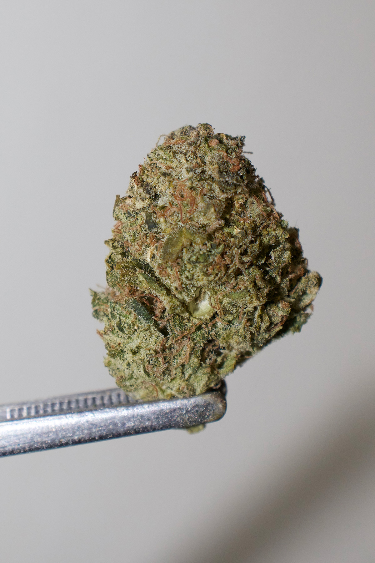 Bruce Banner