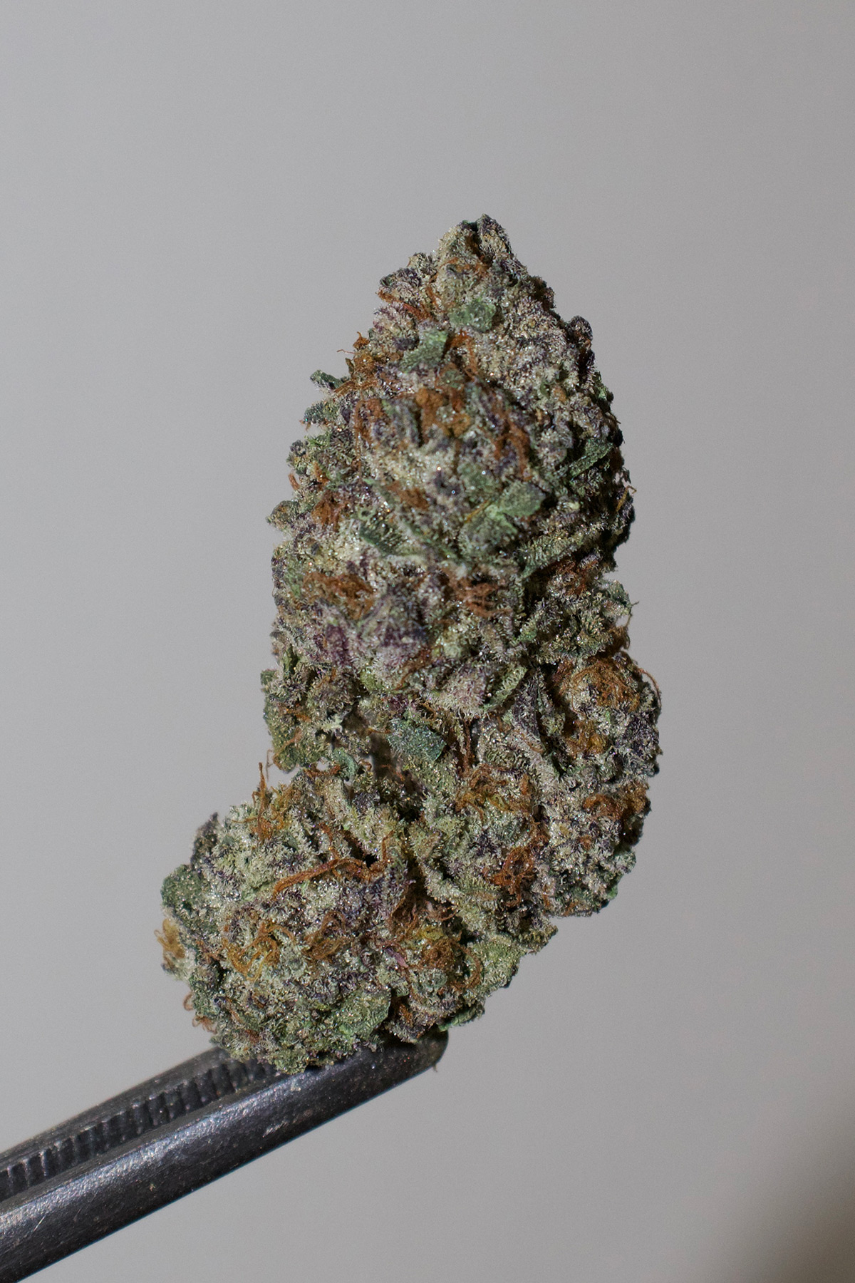 Pluto Weed